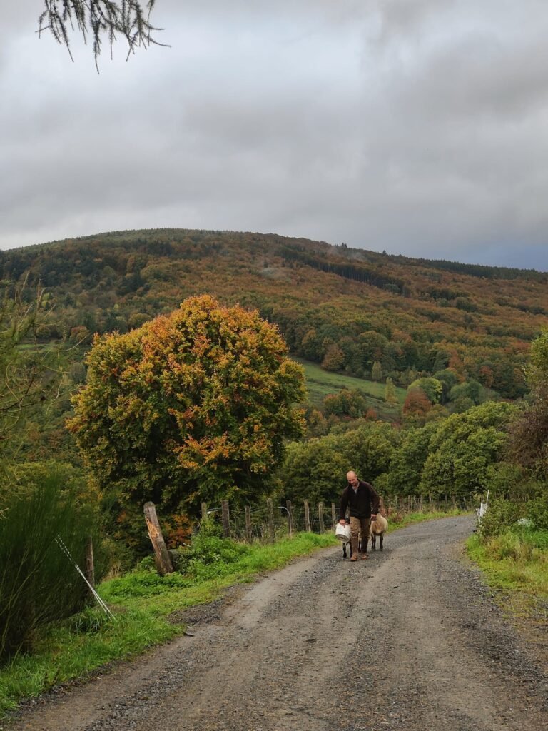 Les arbres de la ferme aux couleurs de l’automne