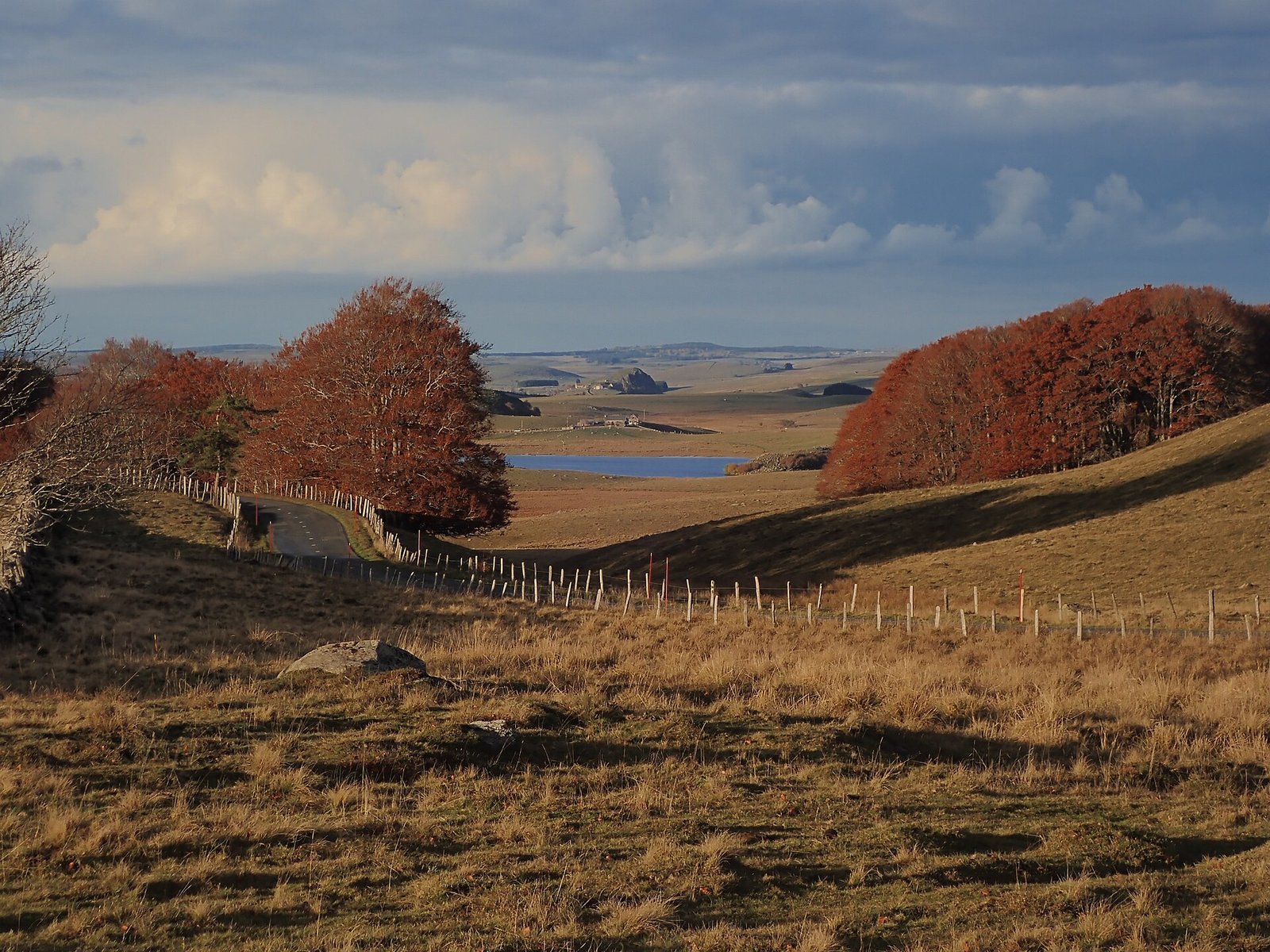 Le plateau de l’Aubrac aux couleurs de l’automne